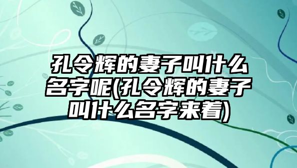 孔令輝的妻子叫什么名字呢(孔令輝的妻子叫什么名字來(lái)著(zhù))