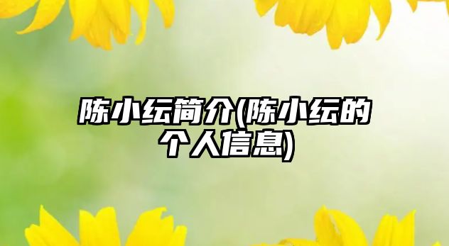 陳小紜簡(jiǎn)介(陳小紜的個(gè)人信息)