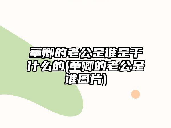 董卿的老公是誰(shuí)是干什么的(董卿的老公是誰(shuí)圖片)