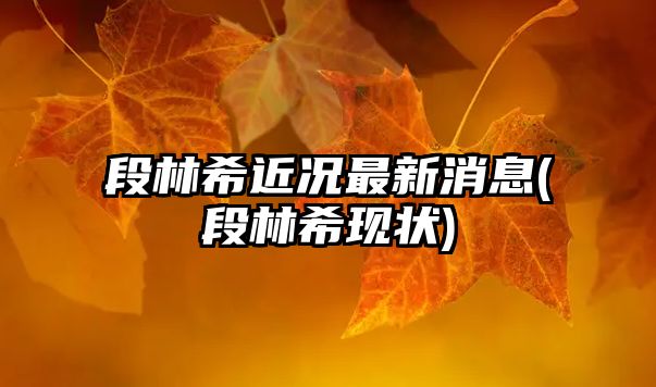 段林希近況最新消息(段林?，F狀)