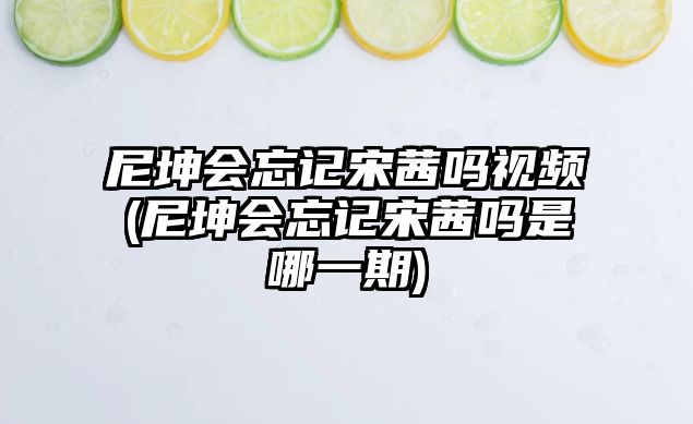 尼坤會(huì )忘記宋茜嗎視頻(尼坤會(huì )忘記宋茜嗎是哪一期)