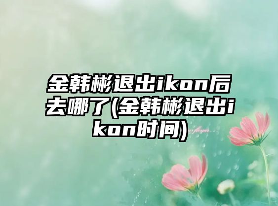 金韓彬退出ikon后去哪了(金韓彬退出ikon時(shí)間)