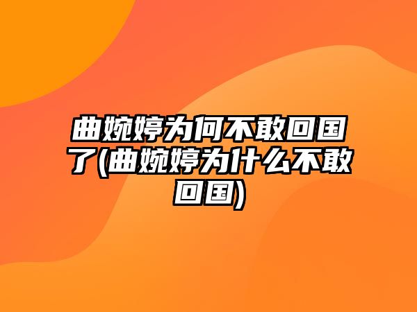 曲婉婷為何不敢回國了(曲婉婷為什么不敢回國)