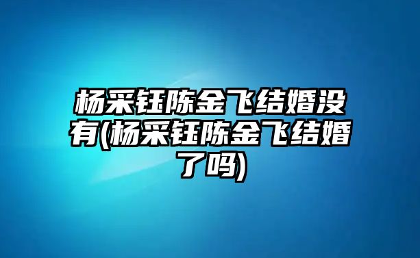 楊采鈺陳金飛結婚沒(méi)有(楊采鈺陳金飛結婚了嗎)