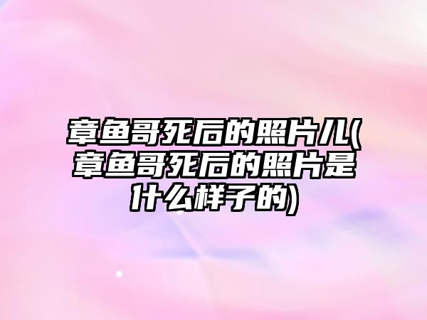 章魚(yú)哥死后的照片兒(章魚(yú)哥死后的照片是什么樣子的)