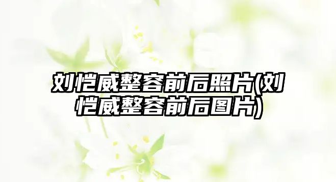 劉愷威整容前后照片(劉愷威整容前后圖片)