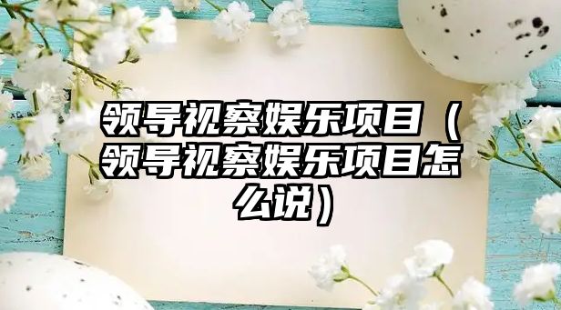 領(lǐng)導視察娛樂(lè )項目（領(lǐng)導視察娛樂(lè )項目怎么說(shuō)）