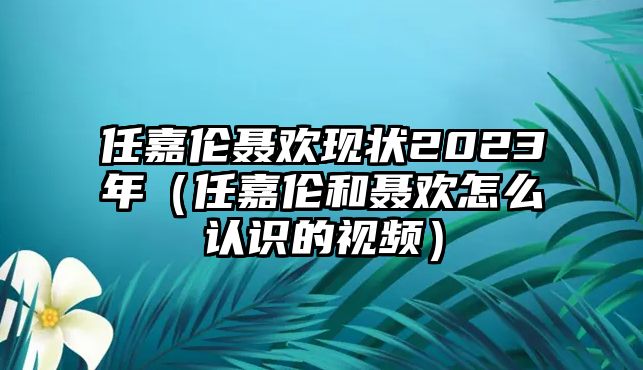 任嘉倫聶歡現狀2023年（任嘉倫和聶歡怎么認識的視頻）