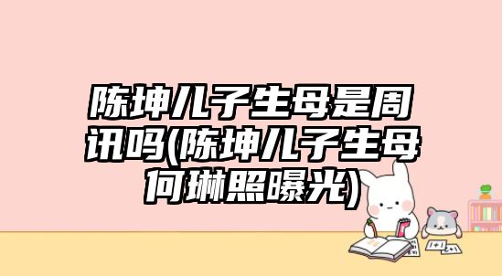 陳坤兒子生母是周訊嗎(陳坤兒子生母何琳照曝光)