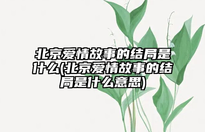 北京愛(ài)情故事的結局是什么(北京愛(ài)情故事的結局是什么意思)