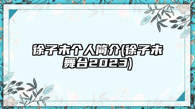 徐子未個(gè)人簡(jiǎn)介(徐子未舞臺2023)