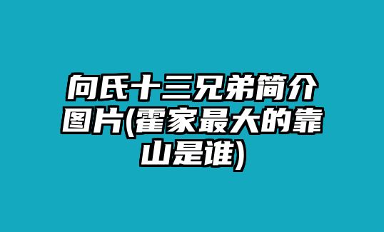 向氏十三兄弟簡(jiǎn)介圖片(霍家最大的靠山是誰(shuí))