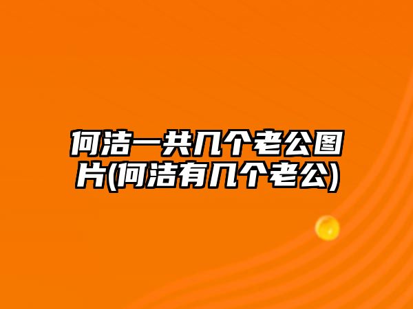 何潔一共幾個(gè)老公圖片(何潔有幾個(gè)老公)