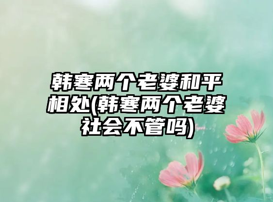 韓寒兩個(gè)老婆和平相處(韓寒兩個(gè)老婆社會(huì )不管嗎)