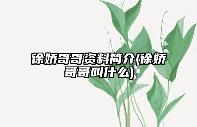 徐嬌哥哥資料簡(jiǎn)介(徐嬌哥哥叫什么)