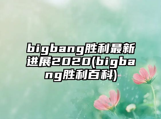 bigbang勝利最新進(jìn)展2020(bigbang勝利百科)