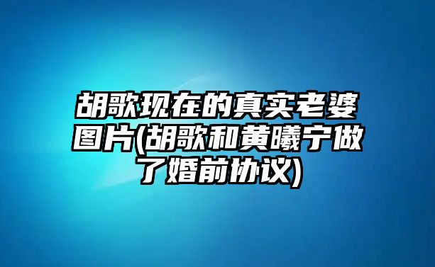 胡歌現在的真實(shí)老婆圖片(胡歌和黃曦寧做了婚前協(xié)議)