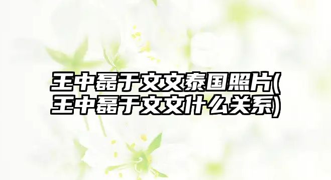 王中磊于文文泰國照片(王中磊于文文什么關(guān)系)