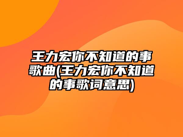 王力宏你不知道的事歌曲(王力宏你不知道的事歌詞意思)