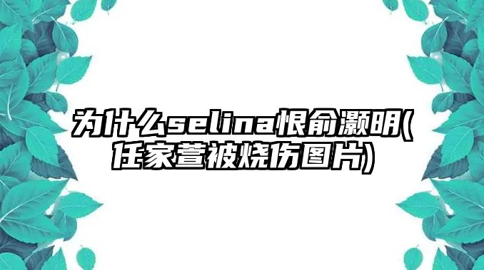 為什么selina恨俞灝明(任家萱被燒傷圖片)