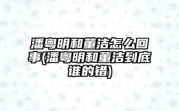 潘粵明和董潔怎么回事(潘粵明和董潔到底誰(shuí)的錯)