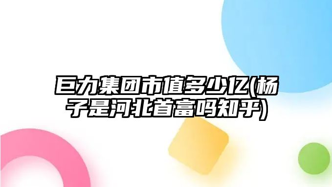 巨力集團市值多少億(楊子是河北首富嗎知乎)