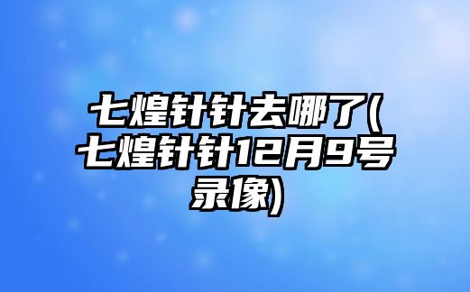 七煌針針去哪了(七煌針針12月9號錄像)