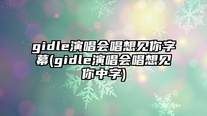 gidle演唱會(huì )唱想見(jiàn)你字幕(gidle演唱會(huì )唱想見(jiàn)你中字)