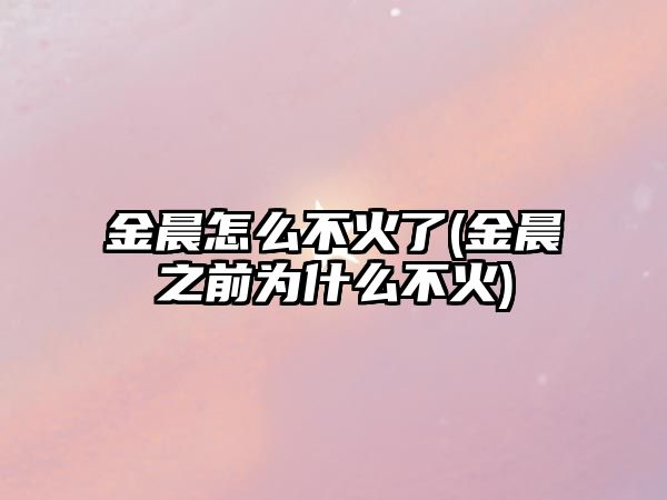 金晨怎么不火了(金晨之前為什么不火)