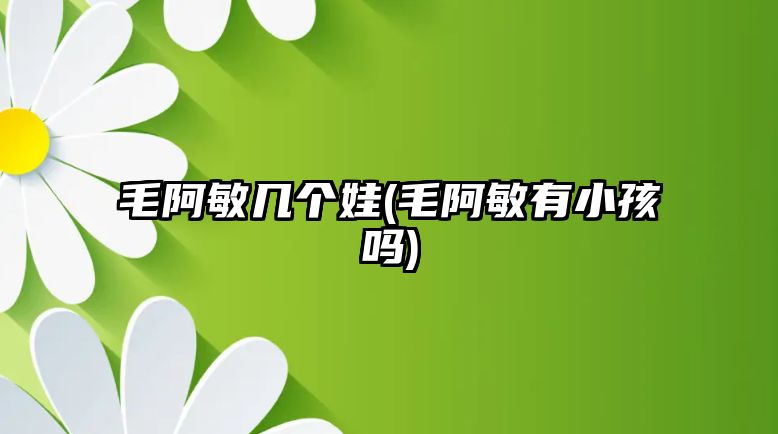 毛阿敏幾個(gè)娃(毛阿敏有小孩嗎)