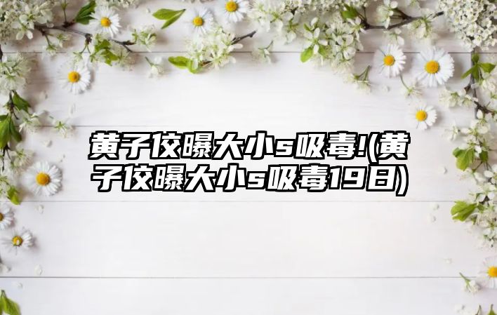 黃子佼曝大小s吸毒!(黃子佼曝大小s吸毒19日)