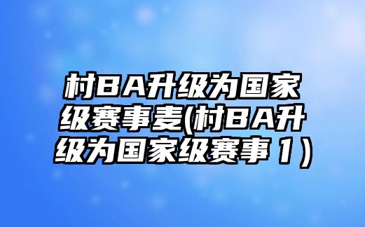 村BA升級為國家級賽事麥(村BA升級為國家級賽事亻)