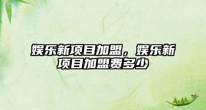 娛樂(lè )新項目加盟，娛樂(lè )新項目加盟費多少