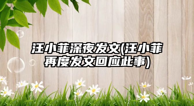 汪小菲深夜發(fā)文(汪小菲再度發(fā)文回應此事)