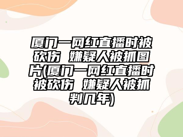 廈門(mén)一網(wǎng)紅直播時(shí)被砍傷 嫌疑人被抓圖片(廈門(mén)一網(wǎng)紅直播時(shí)被砍傷 嫌疑人被抓判幾年)