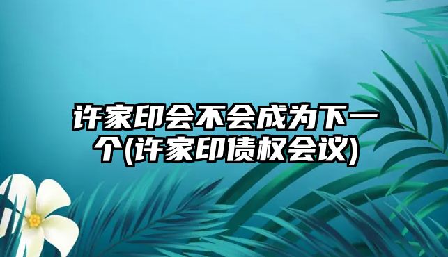 許家印會(huì )不會(huì )成為下一個(gè)(許家印債權會(huì )議)