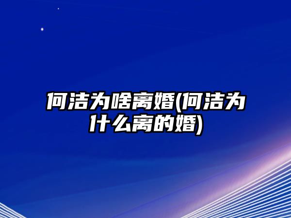 何潔為啥離婚(何潔為什么離的婚)