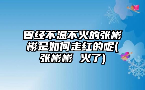 曾經(jīng)不溫不火的張彬彬是如何走紅的呢(張彬彬 火了)