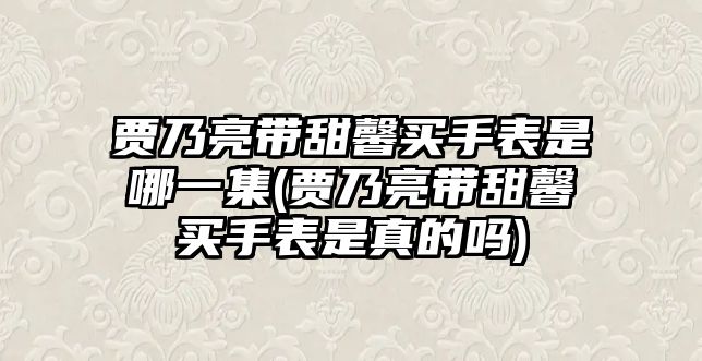 賈乃亮帶甜馨買(mǎi)手表是哪一集(賈乃亮帶甜馨買(mǎi)手表是真的嗎)