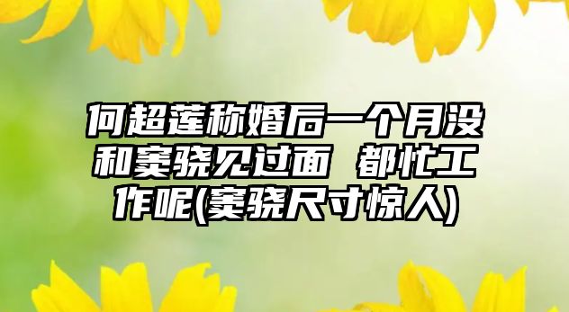 何超蓮稱(chēng)婚后一個(gè)月沒(méi)和竇驍見(jiàn)過(guò)面 都忙工作呢(竇驍尺寸驚人)