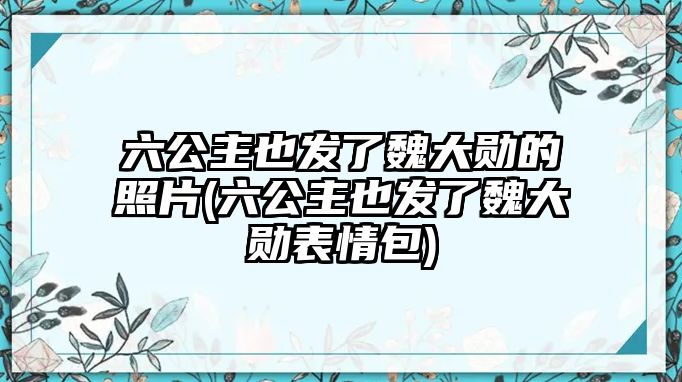 六公主也發(fā)了魏大勛的照片(六公主也發(fā)了魏大勛表情包)