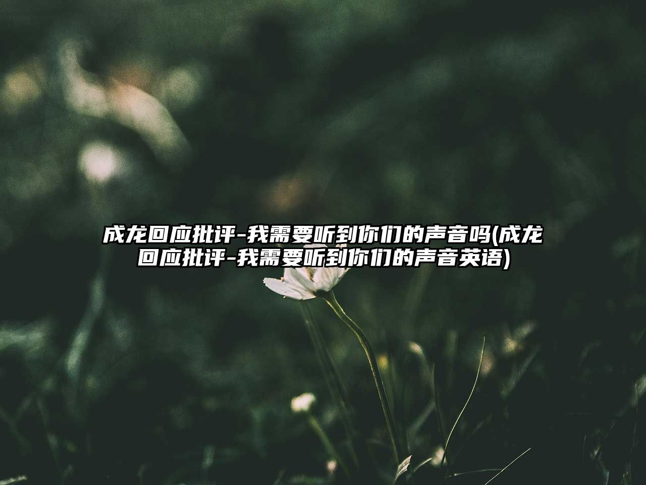 成龍回應批評-我需要聽(tīng)到你們的聲音嗎(成龍回應批評-我需要聽(tīng)到你們的聲音英語(yǔ))