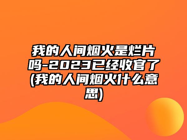 我的人間煙火是爛片嗎-2023已經(jīng)收官了(我的人間煙火什么意思)