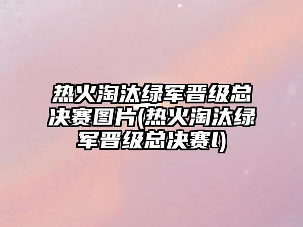 熱火淘汰綠軍晉級總決賽圖片(熱火淘汰綠軍晉級總決賽l)