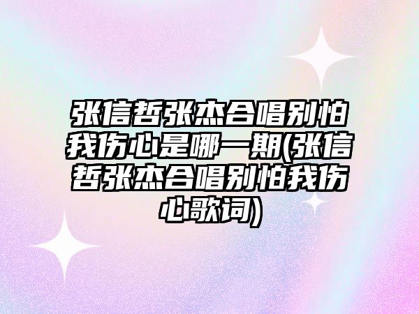 張信哲張杰合唱別怕我傷心是哪一期(張信哲張杰合唱別怕我傷心歌詞)