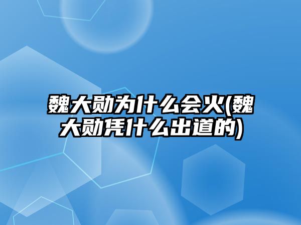 魏大勛為什么會(huì )火(魏大勛憑什么出道的)