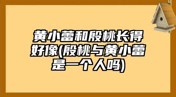 黃小蕾和殷桃長(cháng)得好像(殷桃與黃小蕾是一個(gè)人嗎)