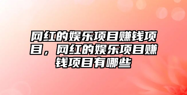 網(wǎng)紅的娛樂(lè )項目賺錢(qián)項目，網(wǎng)紅的娛樂(lè )項目賺錢(qián)項目有哪些