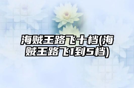 海賊王路飛十檔(海賊王路飛1到5檔)