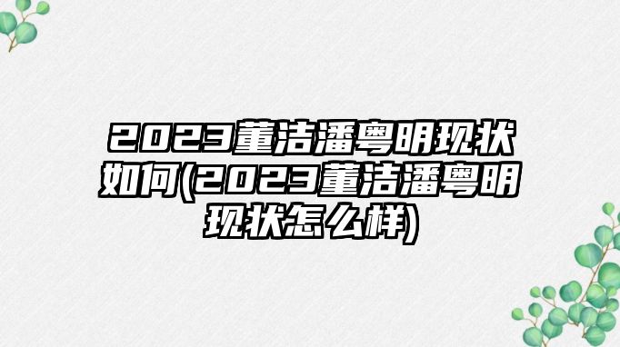 2023董潔潘粵明現狀如何(2023董潔潘粵明現狀怎么樣)